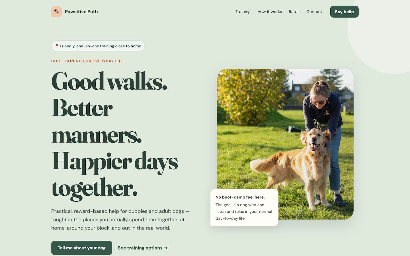 Preview of the Dog Trainer website template